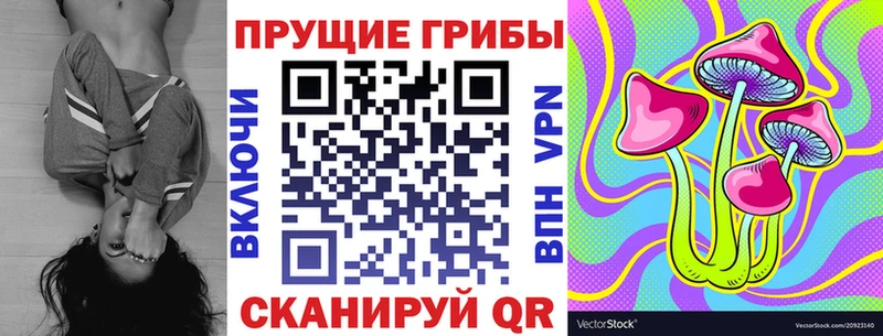 где купить   Щёлкино  Псилоцибиновые грибы GOLDEN TEACHER 